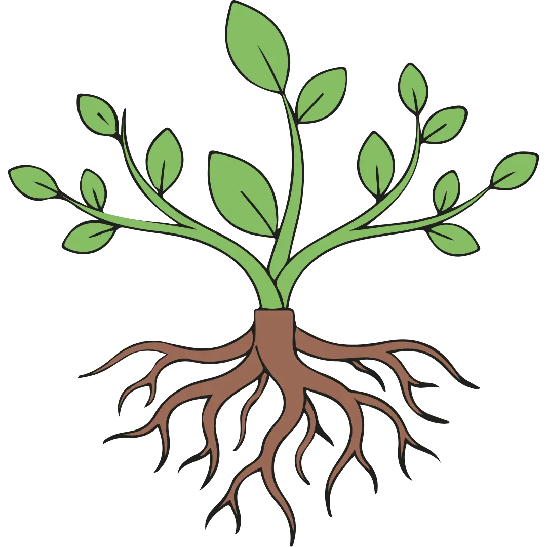 Systems that support growth