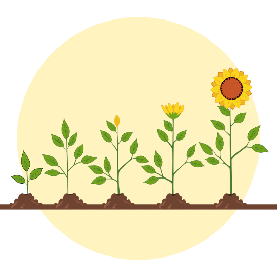 Systems that support growth